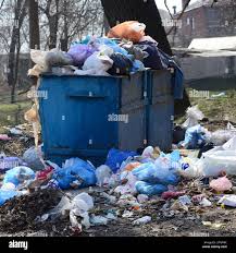 Best Dumpster Rental Services  in Palmyra, NJ