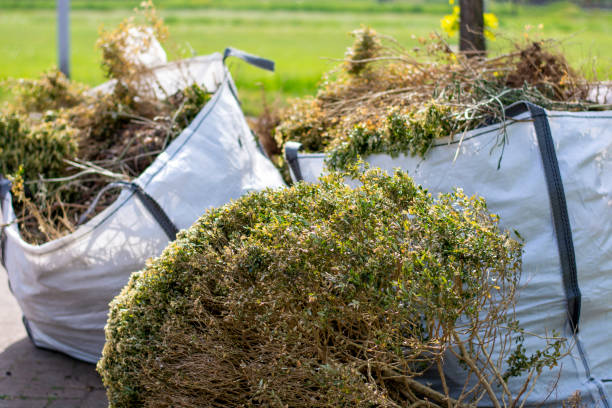 Best Recycling Services for Junk  in Palmyra, NJ